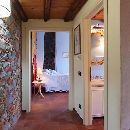 Rosmarino