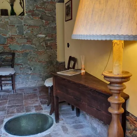 Rosmarino * Capannori