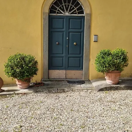 Rosmarino *