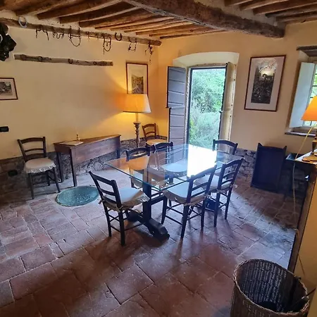 Rosmarino Capannori