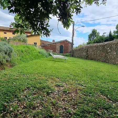 Rosmarino