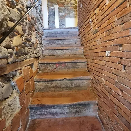 Rosmarino * Capannori